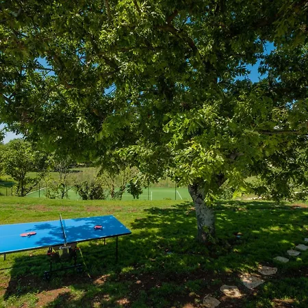 Vila Vida Villa *